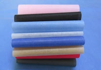 佛罗镇涤纶（PET）无纺布是什么